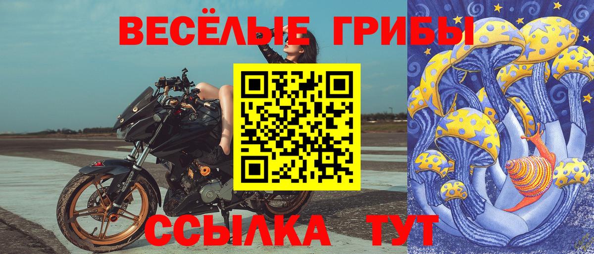 Галлюциногенные грибы Cubensis Уссурийск